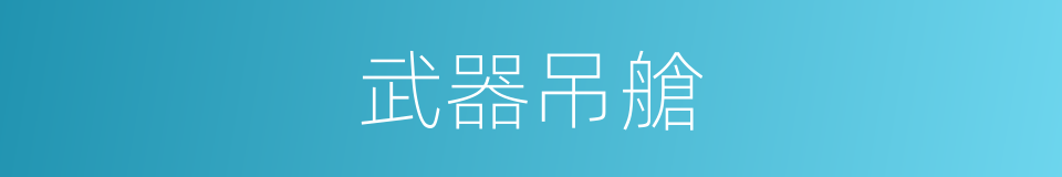 武器吊艙的同義詞