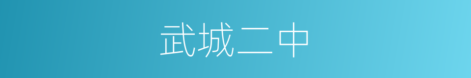 武城二中的同义词