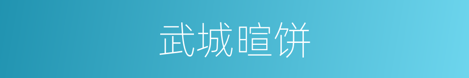 武城暄饼的同义词