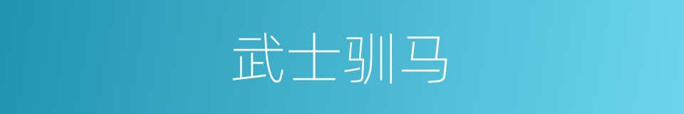 武士驯马的同义词