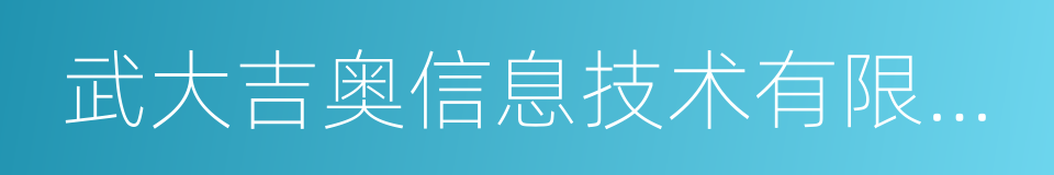 武大吉奥信息技术有限公司的同义词