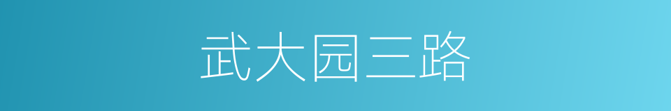 武大园三路的同义词