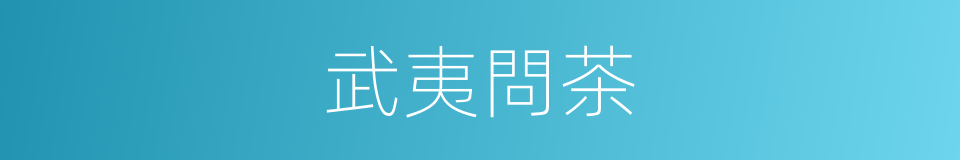 武夷問茶的同義詞