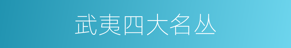 武夷四大名丛的同义词