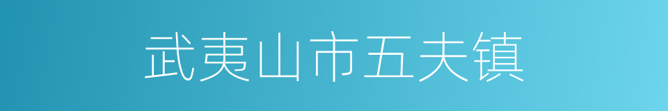 武夷山市五夫镇的同义词