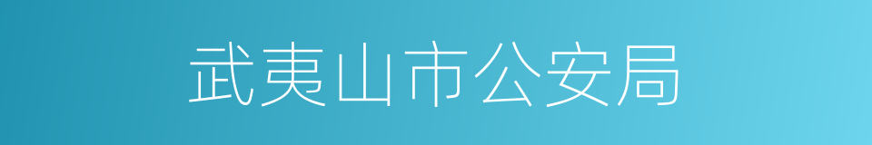 武夷山市公安局的同义词