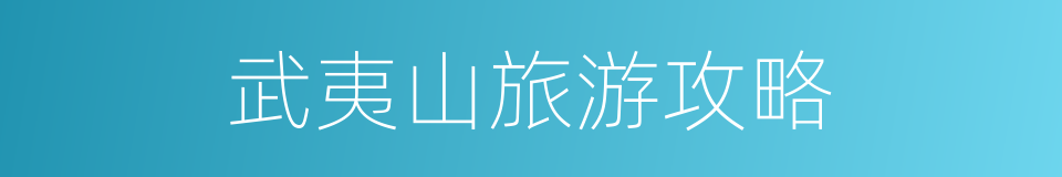 武夷山旅游攻略的同义词
