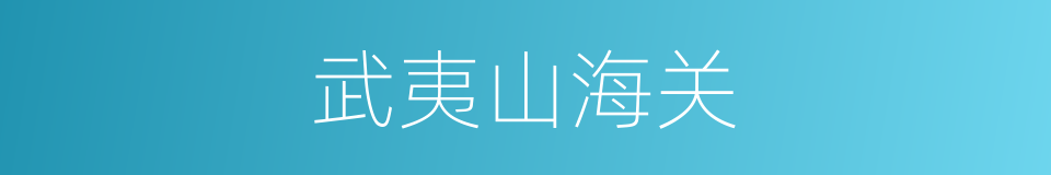 武夷山海关的同义词