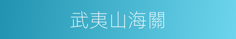 武夷山海關的同義詞