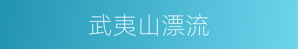 武夷山漂流的同义词