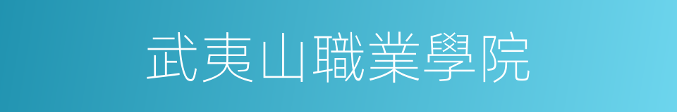 武夷山職業學院的同義詞