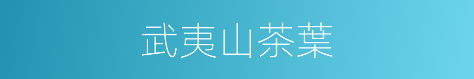 武夷山茶葉的同義詞