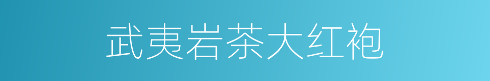 武夷岩茶大红袍的同义词