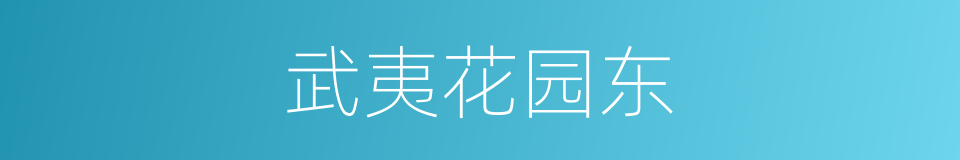 武夷花园东的同义词