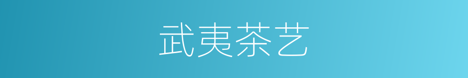 武夷茶艺的同义词
