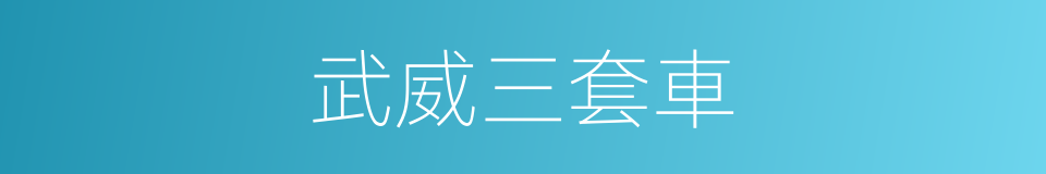 武威三套車的同義詞