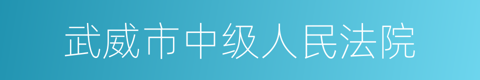 武威市中级人民法院的同义词