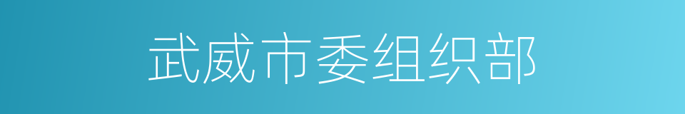 武威市委组织部的同义词