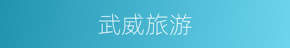 武威旅游的同义词