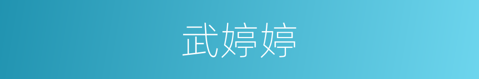 武婷婷的同义词