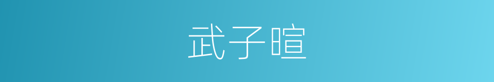 武子暄的同义词