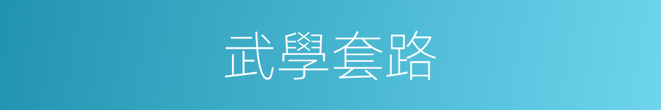 武學套路的同義詞