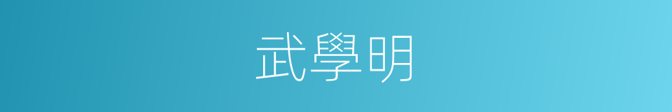 武學明的同義詞