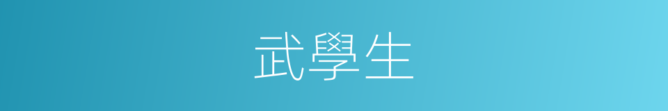 武學生的同義詞