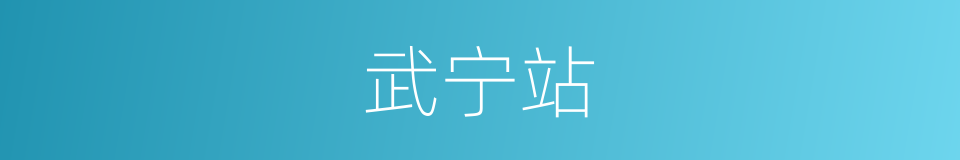 武宁站的同义词