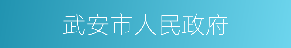 武安市人民政府的同义词