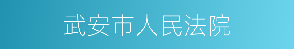 武安市人民法院的同义词