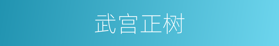 武宫正树的同义词