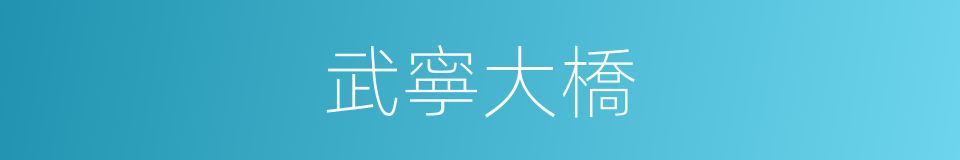 武寧大橋的同義詞