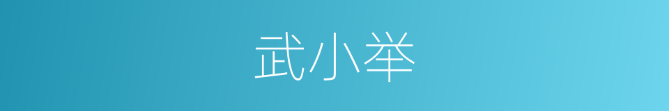 武小举的同义词