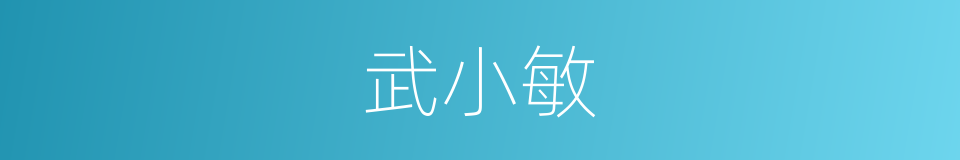 武小敏的同义词