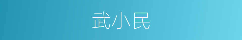 武小民的同义词
