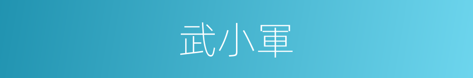 武小軍的同義詞