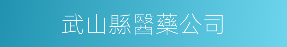 武山縣醫藥公司的同義詞