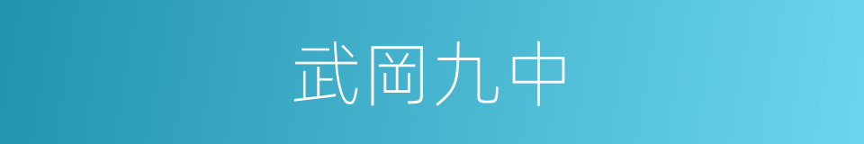 武岡九中的同義詞