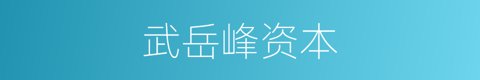 武岳峰资本的同义词