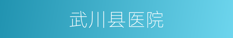 武川县医院的同义词