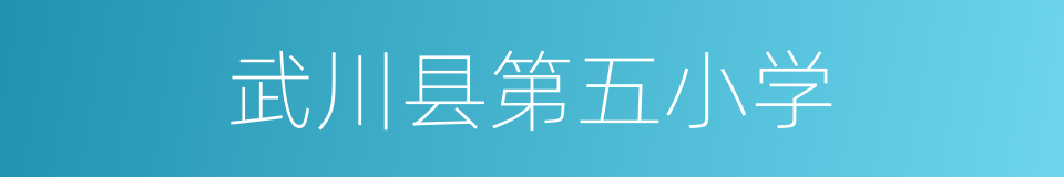 武川县第五小学的同义词