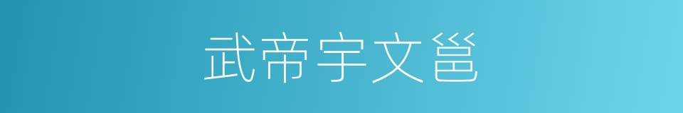 武帝宇文邕的同义词