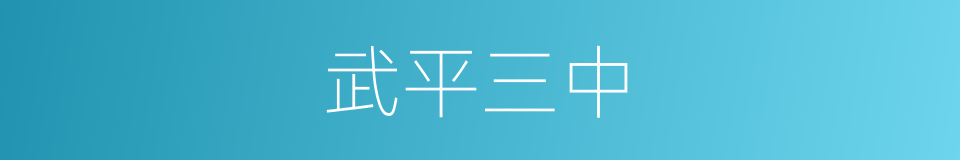 武平三中的同义词