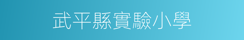 武平縣實驗小學的同義詞