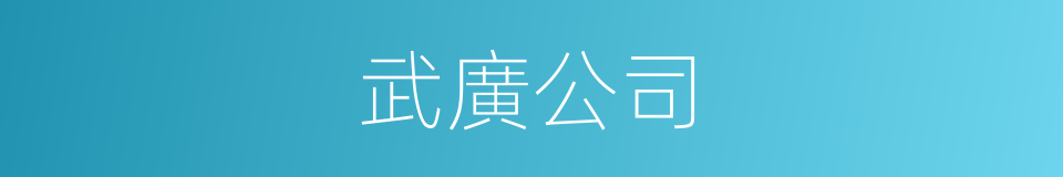 武廣公司的意思