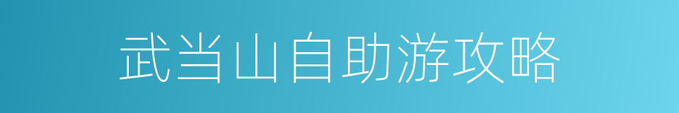 武当山自助游攻略的同义词