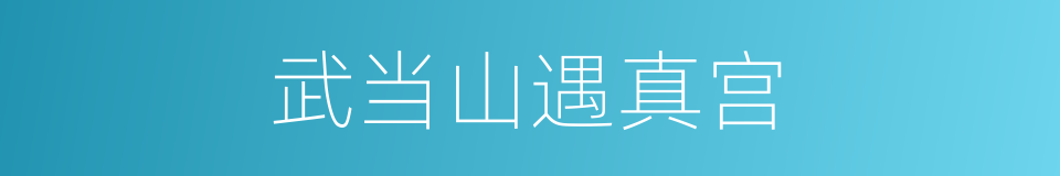 武当山遇真宫的同义词