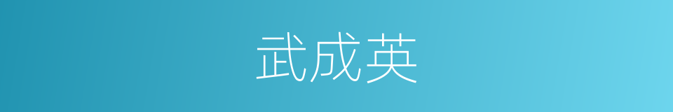 武成英的同义词