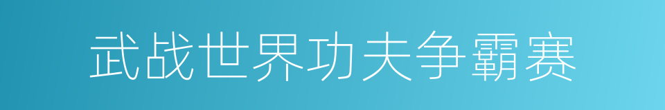 武战世界功夫争霸赛的同义词